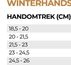 Kopen ✔️ Luxe Winter Handschoen - Warm Door Dikke Stof En Thinsulate - Waterproof - Windvrij - Touchscreen Fietshandschoen - Reflecterend - Unisex R2 -R2 - Storm Winter Fietshandschoenen - Zwart - Maat XXL / 10 ???? -Rogelli Shop 550x229 5