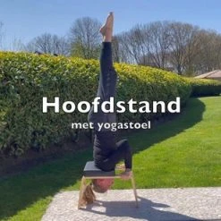 Rogelli Shop -Rogelli Shop 550x309 4