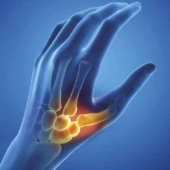 Begroting ⌛ Epitact Flexibele Duimbrace. Ondersteunt Verlicht Gewrichtspijn Rechterhand Maat M. ???? 11 Begroting ⌛ Epitact Flexibele Duimbrace. Ondersteunt Verlicht Gewrichtspijn Rechterhand Maat M. ???? -Rogelli Shop 550x663 1